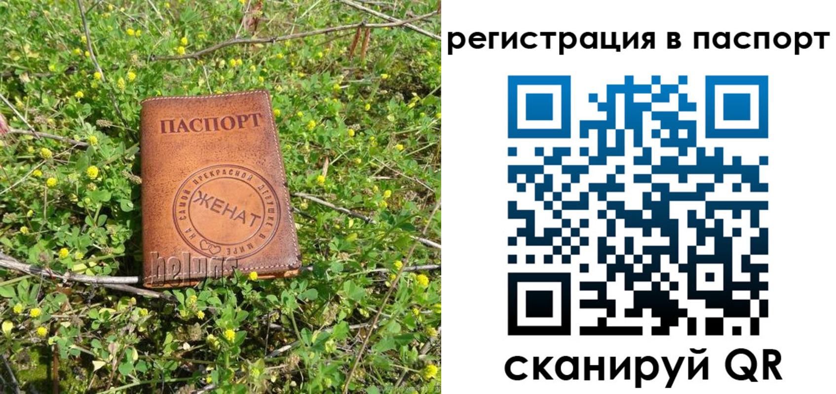 прописка законно в Новгородской области